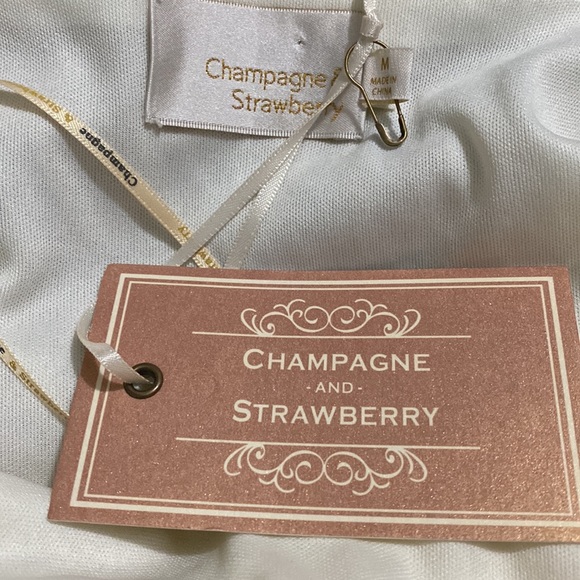 Anthropologie I Champagne and Strawberry Embossed Organza Faux Wrap Mini Dress - Picture 5 of 7